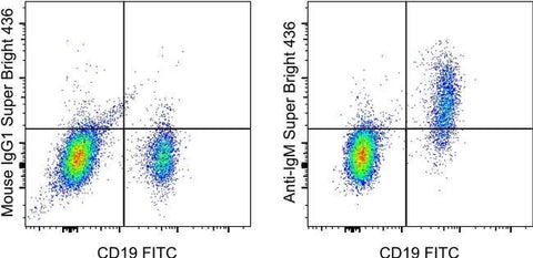 IgM Monoclonal Antibody (SA-DA4), Super Bright™ 436, eBioscience™