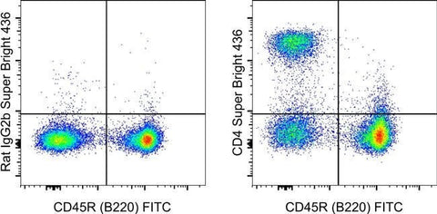 CD4 Monoclonal Antibody (GK1.5), Super Bright™ 436, eBioscience™
