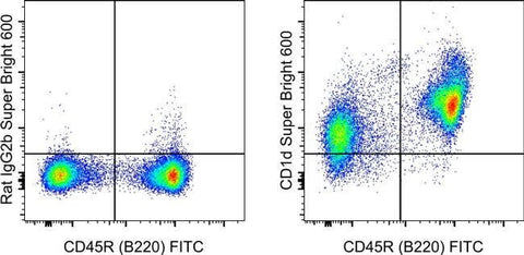 CD1d Monoclonal Antibody (1B1), Super Bright™ 600, eBioscience™