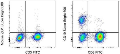CD19 Monoclonal Antibody (HIB19), Super Bright™ 600, eBioscience™
