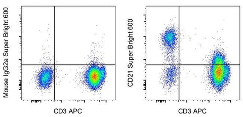 CD21 Monoclonal Antibody (HB5), Super Bright™ 600, eBioscience™