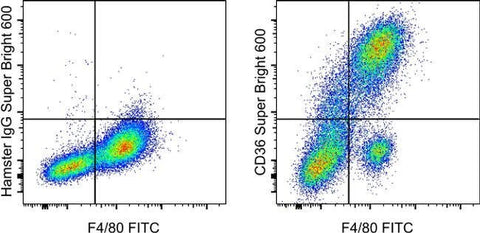 CD36 Monoclonal Antibody (HM36), Super Bright™ 600, eBioscience™
