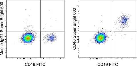 CD40 Monoclonal Antibody (5C3), Super Bright™ 600, eBioscience™