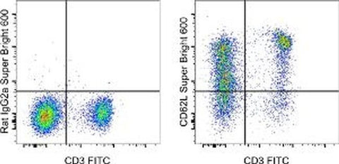 CD62L (L-Selectin) Monoclonal Antibody (MEL-14), Super Bright™ 600, eBioscience™