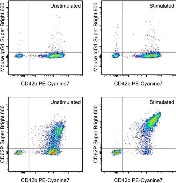 CD62P (P-Selectin) Monoclonal Antibody (Psel.KO2.3), Super Bright