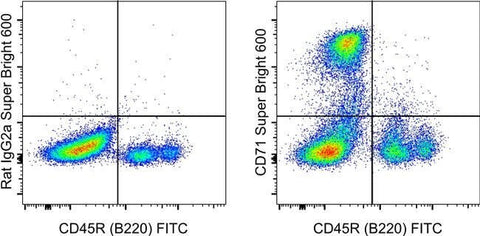 CD71 (Transferrin Receptor) Monoclonal Antibody (R17217 (RI7 217.1.4)), Super Bright™ 600, eBioscience™