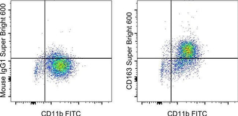 CD163 Monoclonal Antibody (eBioGHI/61 (GHI/61)), Super Bright™ 600, eBioscience™