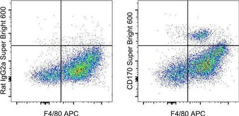 CD170 (Siglec F) Monoclonal Antibody (1RNM44N), Super Bright™ 600, eBioscience™