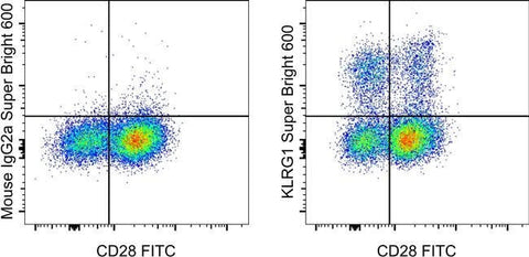 KLRG1 Monoclonal Antibody (13F12F2), Super Bright™ 600, eBioscience™