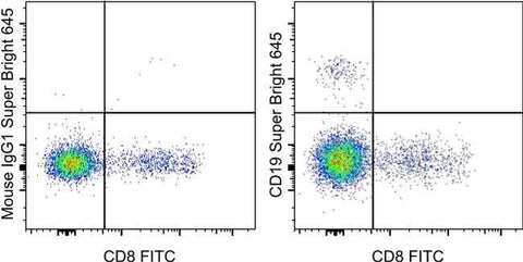 CD19 Monoclonal Antibody (HIB19), Super Bright™ 645, eBioscience™