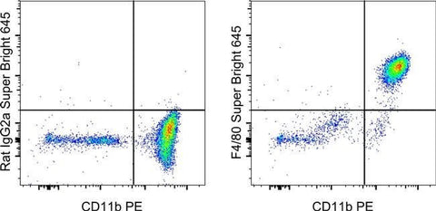 F4/80 Monoclonal Antibody (BM8), Super Bright™ 645, eBioscience™