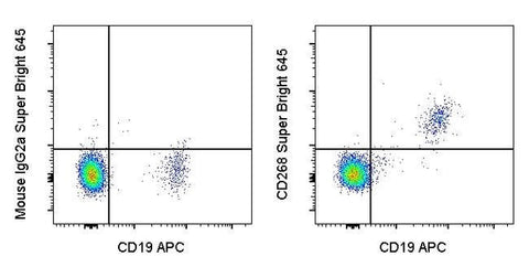 CD268 (BAFF Receptor) Monoclonal Antibody (8A7), Super Bright™ 645, eBioscience™