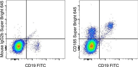 CD185 (CXCR5) Monoclonal Antibody (MU5UBEE), Super Bright™ 645, eBioscience™