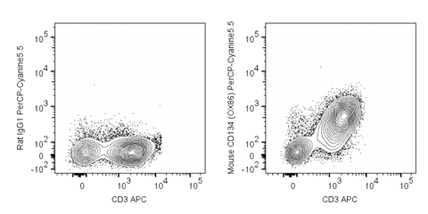 C57Bl/6 splenocytes were stimulated for 3 days with ConA and then stained with APC Anti-Mouse CD3 (20-0031) and 0.25 ug PerCP-Cyanine5.5 Anti-Mouse CD134 (65-1341) (right panel) or 0.125 ug PerCP-Cyainie5.5 Rat IgG1 (left panel).