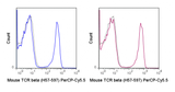 PerCP-Cyanine5.5 Anti-Mouse TCR beta (H57-597)