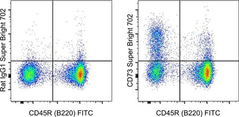 CD73 Monoclonal Antibody (eBioTY/11.8 (TY/11.8)), Super Bright™ 702, eBioscience™