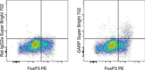 GARP Monoclonal Antibody (G14D9), Super Bright™ 702, eBioscience™