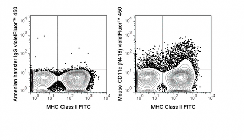 C57Bl/6 splenocytes were stained with FITC Anti-Mouse MHC Class II (35-5321) and 0.125 ug violetFluor™ 450 Anti-Mouse CD11c (75-0114) (right panel) or 0.125 ug violetFluor™ 450 Armenian Hamster IgG (left panel).