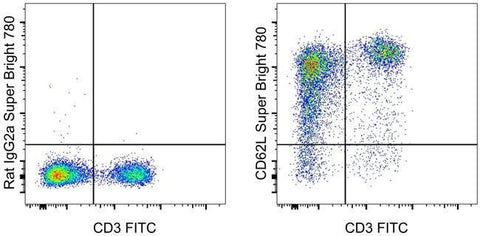 CD62L (L-Selectin) Monoclonal Antibody (MEL-14), Super Bright™ 780, eBioscience™
