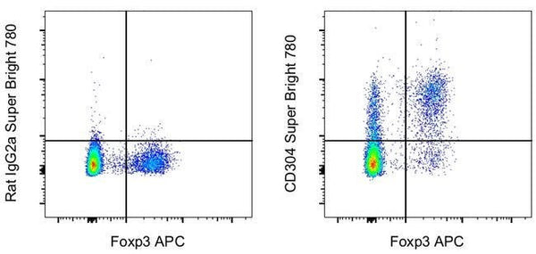 CD304 (Neuropilin-1) Monoclonal Antibody (3DS304M), Super Bright