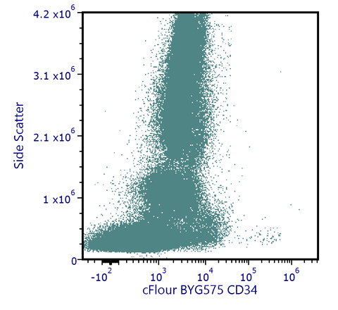 cFluor<sup>®</sup> BYG575 Anti-Human CD34 (4H11)