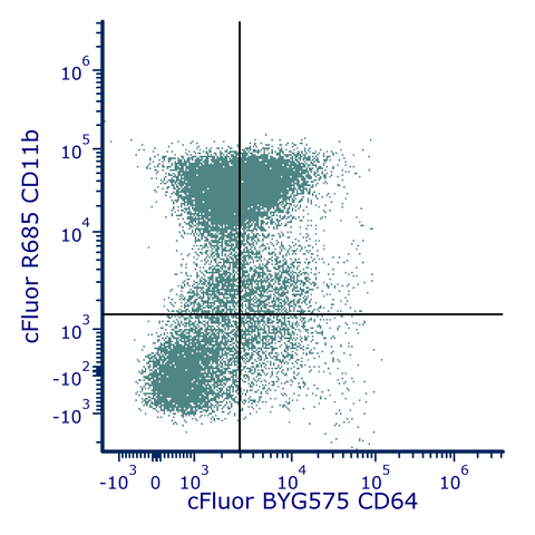 cFluor<sup>®</sup> BYG575 Anti-Mouse CD64 (X54-5/7.1)