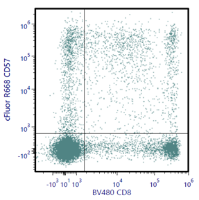 cFluor® R668 Anti-Human CD57 (HNK-1)
