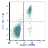 cFluor<sup>®</sup> BYG710 Anti-Human IgD (IgD26)
