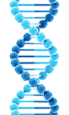 CYBRFast™ 1-Step RT-qPCR Lo-ROX Kit