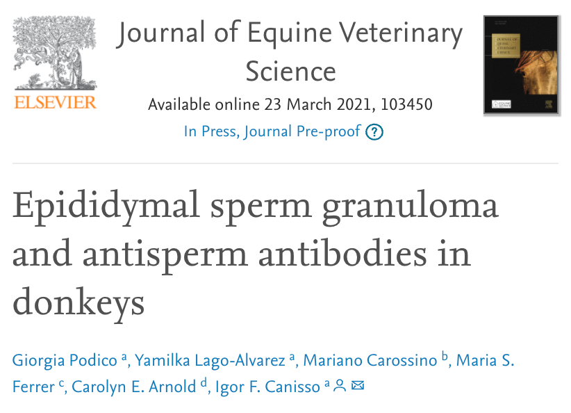 Epididymal sperm granuloma and antisperm antibodies in donkeys | Cytek ...