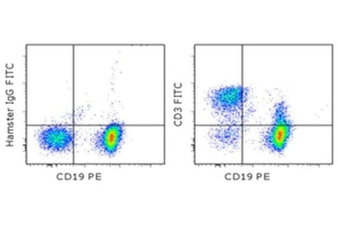 CD3e Monoclonal Antibody (145-2C11), FITC, eBioscience