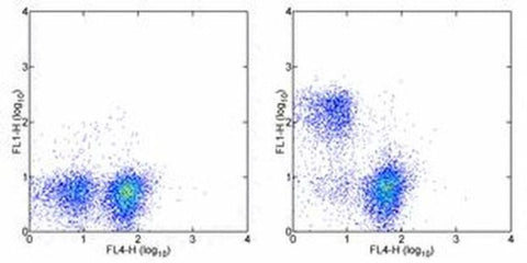 CD3e Monoclonal Antibody (eBio500A2 (500A2)), FITC, eBioscience