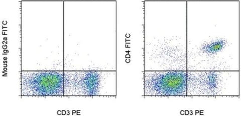 CD4 Monoclonal Antibody (OX35), FITC, eBioscience