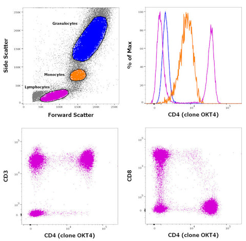 CD4 Monoclonal Antibody (OKT4 (OKT-4)), FITC, eBioscience