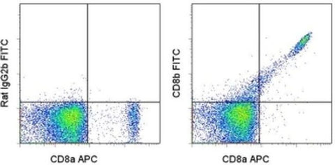 CD8b Monoclonal Antibody (eBioH35-17.2 (H35-17.2)), FITC, eBioscience