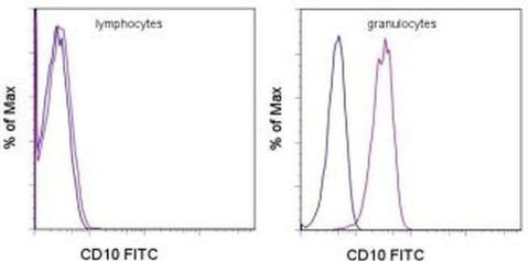 CD10 Monoclonal Antibody (SN5c), FITC, eBioscience
