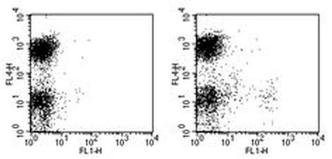 CD11c Monoclonal Antibody (N418), FITC, eBioscience