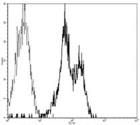 CD11a (LFA-1alpha) Monoclonal Antibody (HI111), FITC, eBioscience
