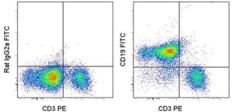 CD19 Monoclonal Antibody (eBio1D3 (1D3)), FITC, eBioscience