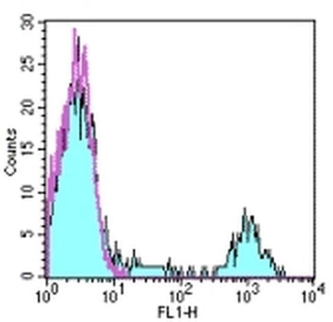 CD20 Monoclonal Antibody (2H7), FITC, eBioscience