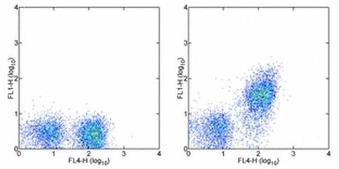 CD21/CD35 Monoclonal Antibody (eBio8D9 (8D9)), FITC, eBioscience