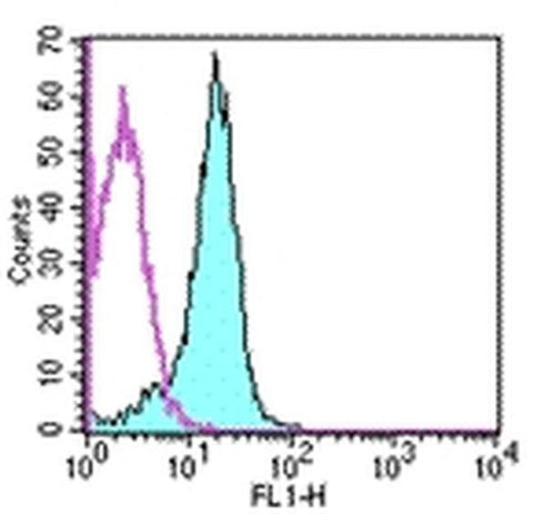 CD31 (PECAM-1) Monoclonal Antibody (390), FITC, eBioscience