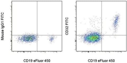 CD32 Monoclonal Antibody (6C4 (CD32)), FITC, eBioscience