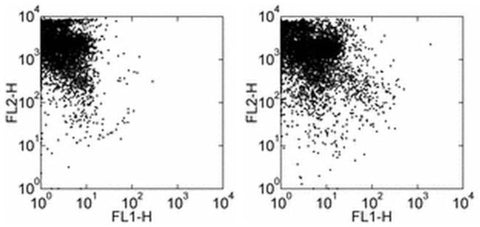 CD34 Monoclonal Antibody (RAM34), FITC, eBioscience