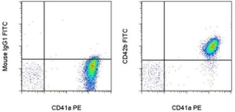 CD42b Monoclonal Antibody (HIP1), FITC, eBioscience
