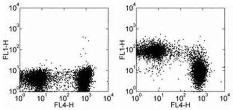 CD43 Monoclonal Antibody (eBioR2/60), FITC, eBioscience