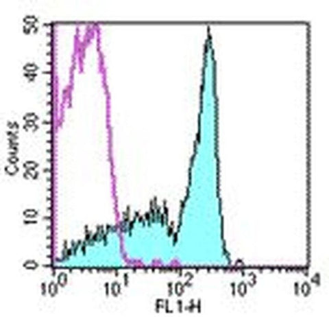 CD45RB Monoclonal Antibody (C363.16A), FITC, eBioscience