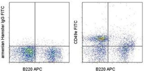 CD49e (Integrin alpha 5) Monoclonal Antibody (eBioHMa5-1 (HMa5-1)), FITC, eBioscience