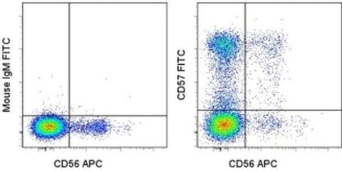 CD57 Monoclonal Antibody (TB01 (TBO1)), FITC, eBioscience