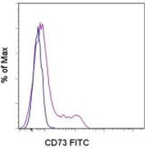 CD73 Monoclonal Antibody (AD2), FITC, eBioscience
